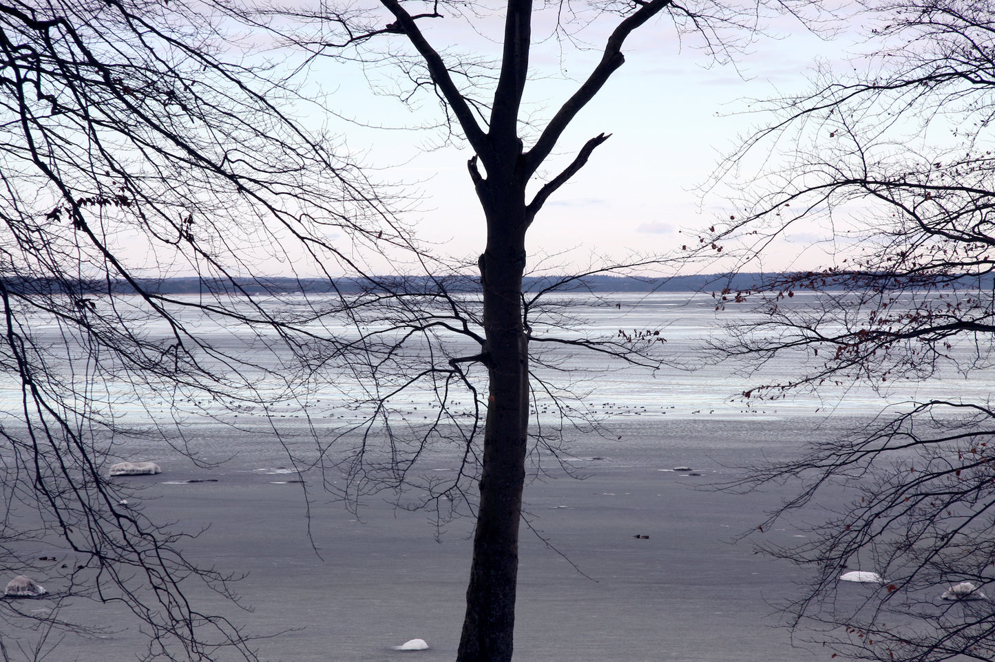 Baltic Sea #27