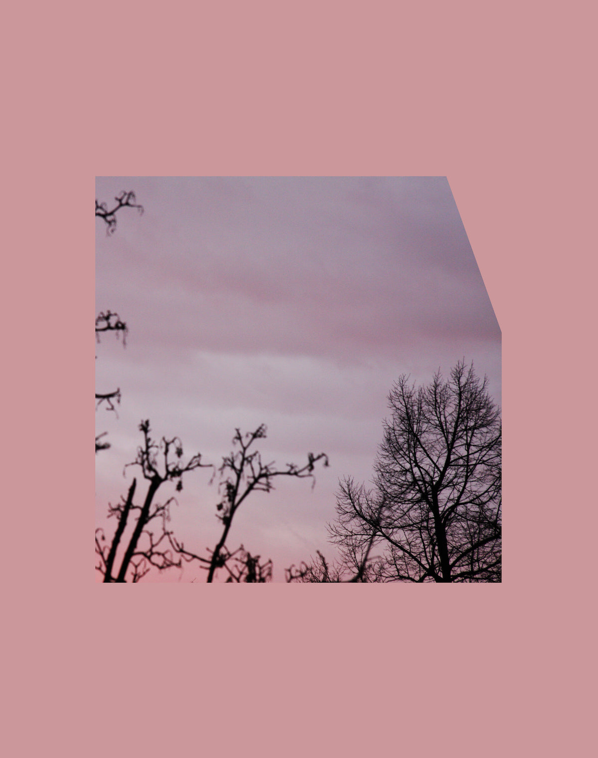 „Baltic Sea Project / Violet Heaven #1 on color plate“, 2016