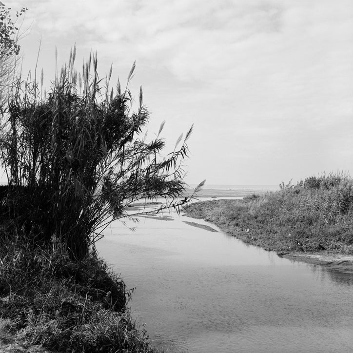Etruria, Fregene #3